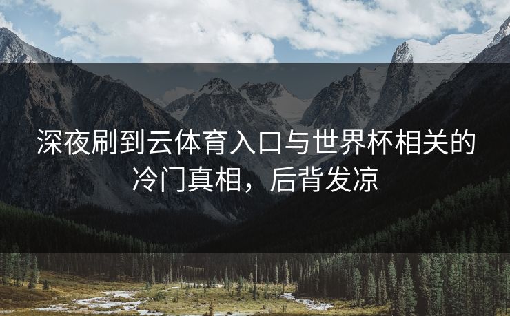 深夜刷到云体育入口与世界杯相关的冷门真相，后背发凉